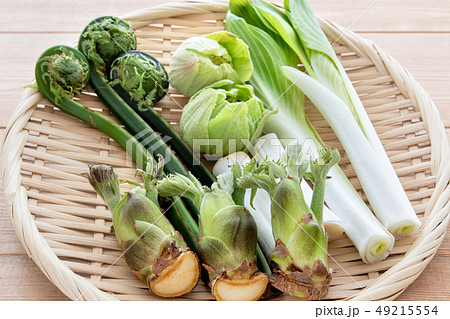 山菜の盛り合わせ 49215554