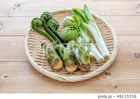 山菜の盛り合わせ 山菜の盛り合わせ 49215556