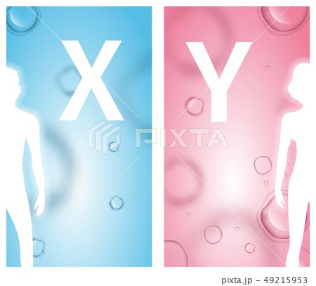 Man and Woman White Silhouettes. X and Y Letters. 49215953