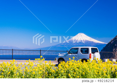 (静岡県)西伊豆・煌めきの丘から望む富士山 (静岡県)西伊豆・煌めきの丘から望む富士山 49216214
