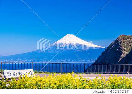 (静岡県)西伊豆・煌めきの丘から望む富士山 (静岡県)西伊豆・煌めきの丘から望む富士山 49216217