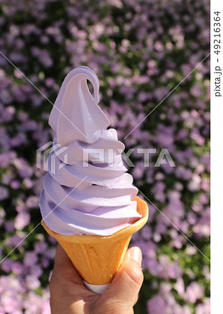 藤の花の色と香りのソフトクリーム「藤ソフト」 49216364