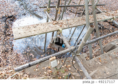 池の水を抜く 池の水を抜く 49217117