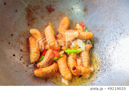 worm palm weevil red or Sago beetle  fried in pan 49219020