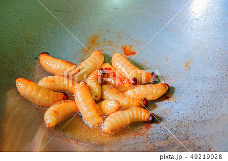 worm palm weevil red or Sago beetle  fried in pan 49219028