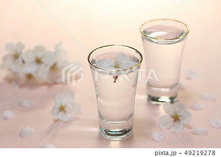 花見酒（和紙背景）イメージNo.8 49219278