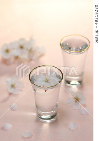 花見酒（和紙背景）イメージNo.6 49219280