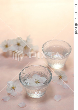 花見酒（和紙背景）イメージNo.5 49219281