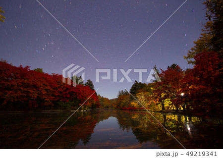 信州　軽井沢　紅葉の雲場池 49219341