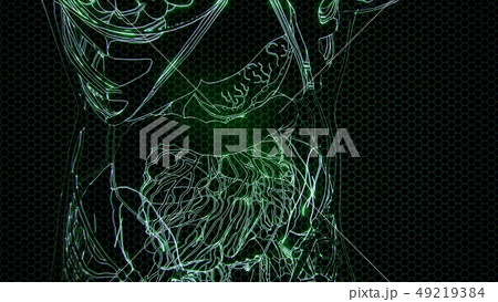 Transparent Human Body with Visible Bones 49219384