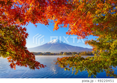 Mountain fuji with red maple in Autumn, Mountain fuji with red maple in Autumn, 49220451