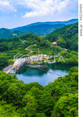 新緑の北山湖　【佐賀県佐賀市】 49220484