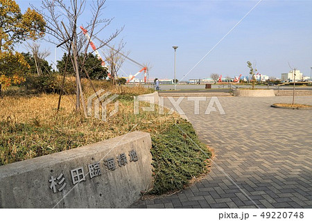 杉田臨海緑地 49220748