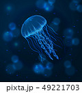 Hand drawn sketch isolated jellyfish, marine animals 49221703