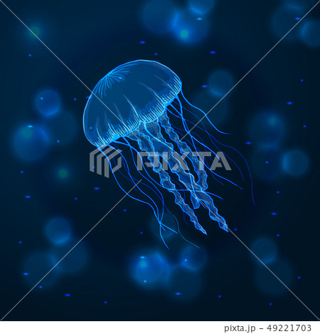 Hand drawn sketch isolated jellyfish, marine animals 49221703