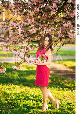 Charming girl in beautiful pink dress hold bunch of sakura in hands. Beautiful european girl near Charming girl in beautiful pink dress hold bunch of sakura in hands. Beautiful european girl near 49221866