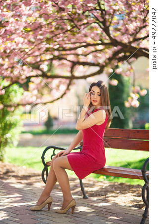 Young attractive girl sits on a bench. Background of blooming pink trees. Spring. Sakura japanese 49222042
