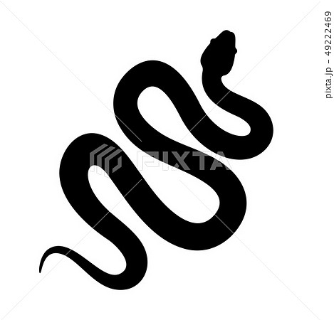 Snake Cobra Or Anaconda Vector Icon Long Snake のイラスト素材