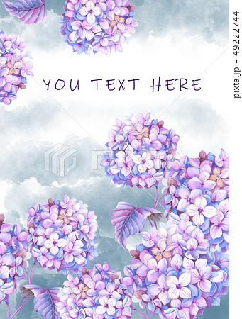 透明水彩 水彩画 紫陽花のイラスト素材