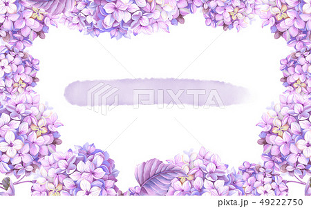 透明水彩 水彩画 紫陽花 49222750