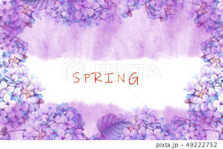 透明水彩 水彩画 紫陽花のイラスト素材