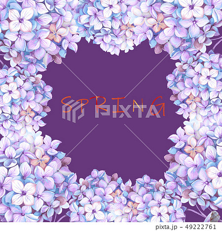透明水彩 水彩画 紫陽花 49222761