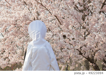 桜の下で結婚式 桜の下で結婚式 49223094