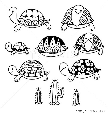 かめセット Tortoise Setのイラスト素材