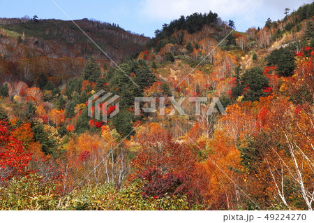 10月 紅葉の八幡平アスピーテラインからの展望の写真素材