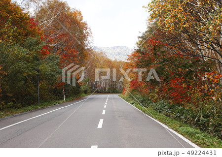 10月 紅葉の八幡平アスピーテラインの写真素材