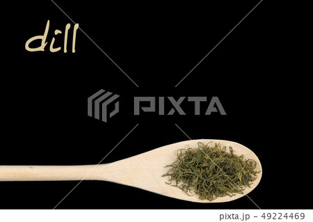 dill on wooden spoon isolated 49224469