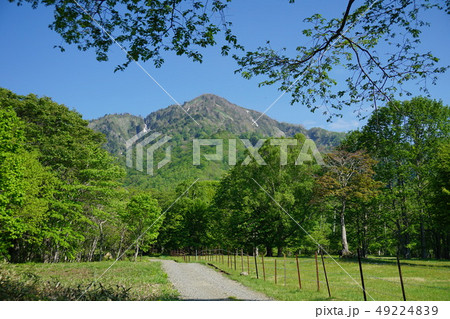 戸隠キャンプ場からの高妻山 49224839