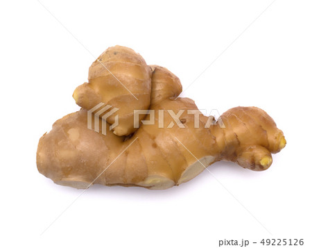 ショウガ 49225126