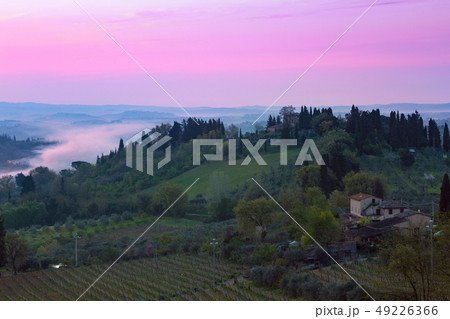 Typical Tuscan landscape 49226366