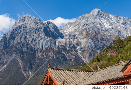 中国 チャイナ 磁器 49227148