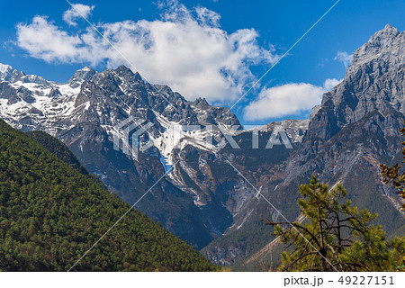 中国 チャイナ 磁器 49227151