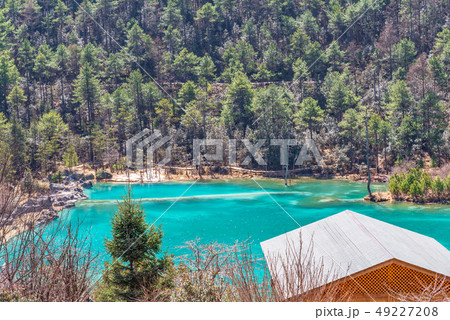 中国 チャイナ 磁器 49227208