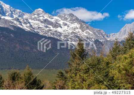 中国 チャイナ 磁器 49227315