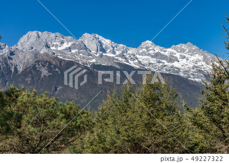 中国 チャイナ 磁器 49227322