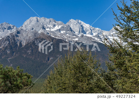 中国 チャイナ 磁器 49227324