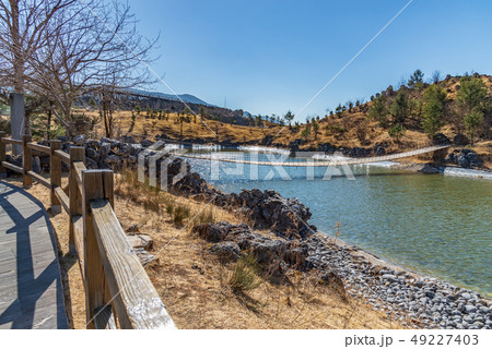 中国 チャイナ 磁器 49227403