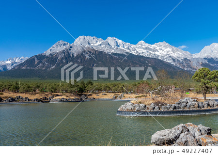 中国 チャイナ 磁器 49227407