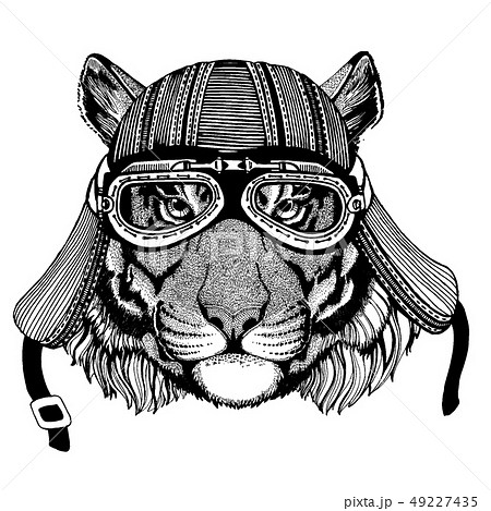 Cat, tiger wild biker animal wearing motorcycle helmet. Hand drawn image for tattoo, emblem, badge 49227435