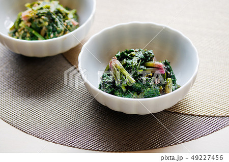 ほうれん草の胡麻和え ほうれん草の胡麻和え 49227456