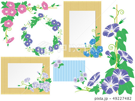 ベクター イラスト デザイン Ai Eps フレーム 飾り ラベル 花 植物 朝顔 夏 日本 和風のイラスト素材