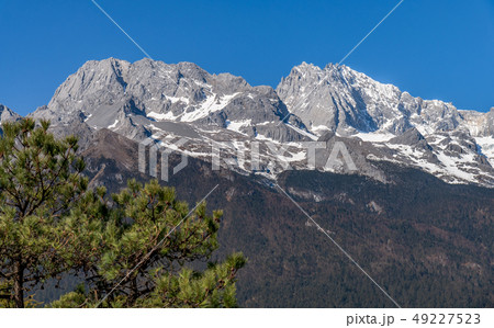 中国 チャイナ 磁器 49227523