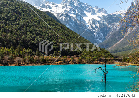 中国 チャイナ 磁器 49227643