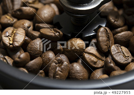 コーヒー コーヒーミル コーヒー豆 コーヒー コーヒーミル コーヒー豆 49227955