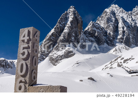 中国 チャイナ 磁器 49228194