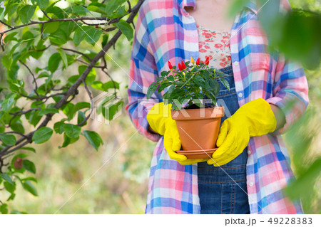 girl plants a plant 49228383